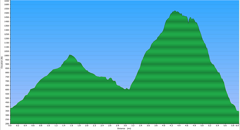 Elevation Profile