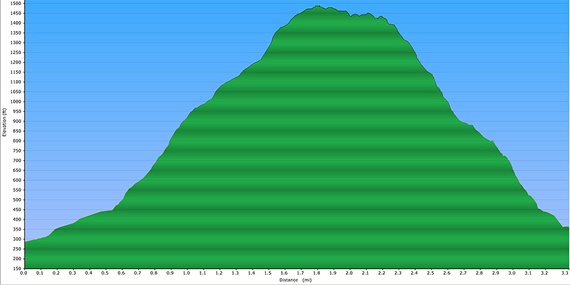 elevation profile